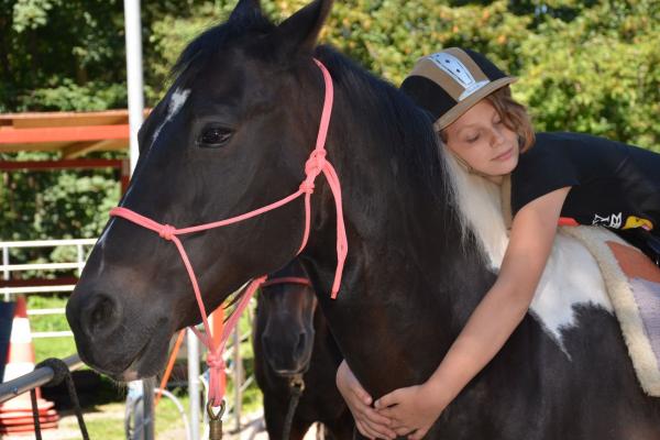Kuscheln mit Pferd Cherie