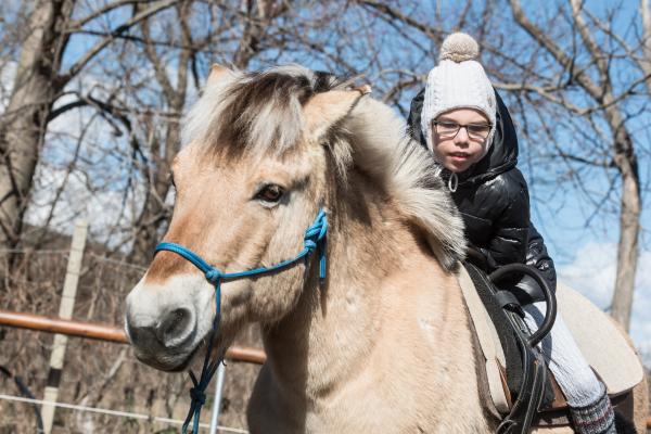 Mädchen mit Pferd in der Therapieeinheit